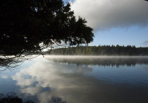 morning on the lake.jpg